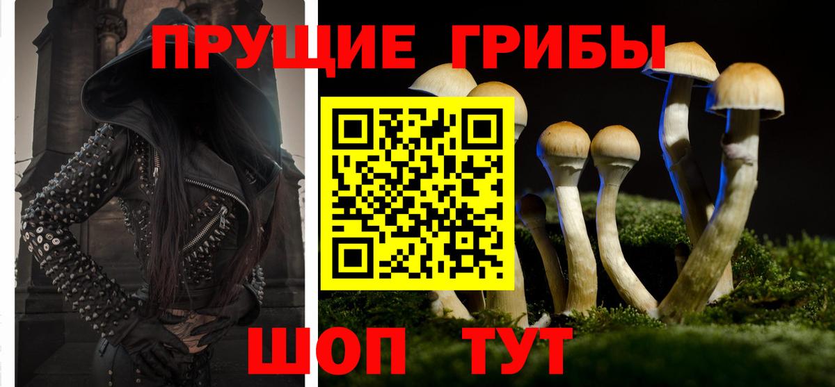 Подольск  Псилоцибиновые грибы мухоморы  Вход с VPN 